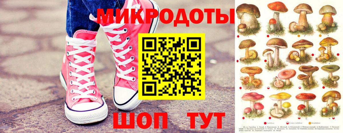 Куйбышев  купить наркотик  Вход с VPN  Галлюциногенные грибы мухоморы 