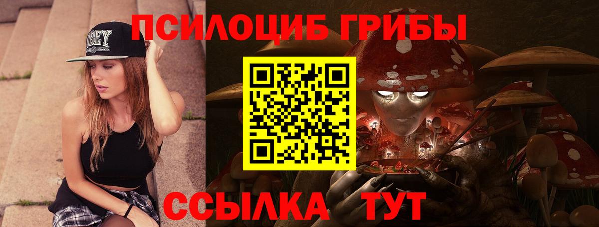 Галлюциногенные грибы Psilocybine cubensis Куйбышев